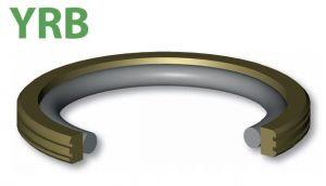 Double acting seal for rotating piston (YRB)