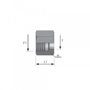 Nut DIN 3870. (DL-DS)