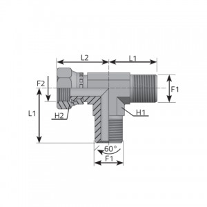 Run Tee Male BSPP – swivel female BSPP. (TMG..FGG..B)
