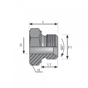 Welding adaptor BSPP. (AMNS)