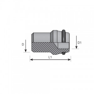 Vitillo Din Fittings Blacking plug with O-ring DIN 24°. (ATFGE..LS)