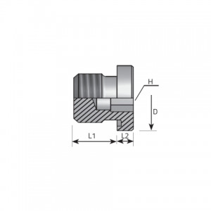 Vitillo Din Fittings Inner hexagon plug packing ring form E DIN 3852. (ATMG..ELX)