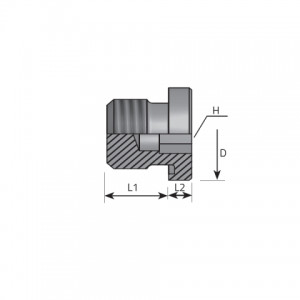 Vitillo Din Fittings Inner hexagon plug packing ring form E DIN 3852. (ATMM..ELX)
