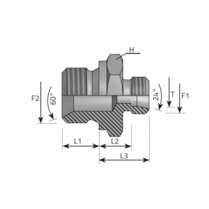 Vitillo Din Fittings Male stud coupling SV 60°. (AME..LSMG..SV)