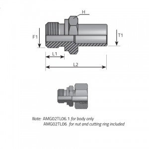 Vitillo Din Fittings Stud standpipe adapter form B DIN 3852. (AMG..TLS..)